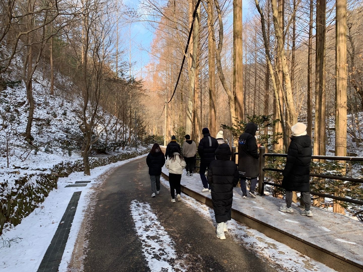Year-end Lab MT — photo 2